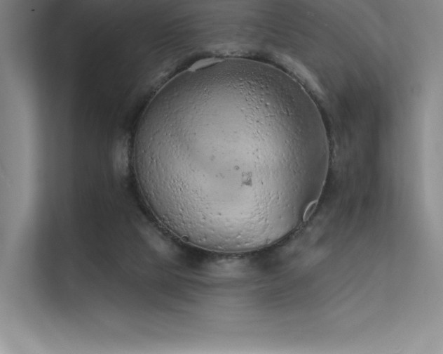 X0000112420065200908141419