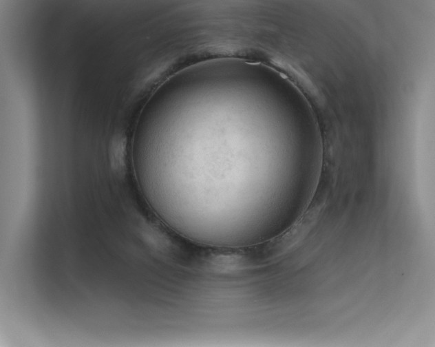 X0000112420066200908141419