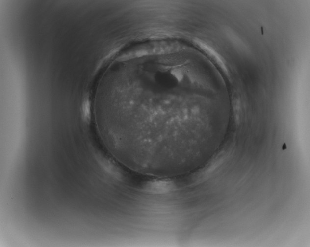 X0000112420067200908141419