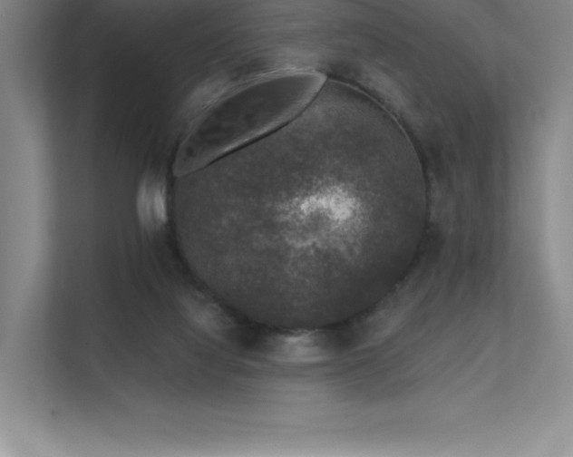 X0000112420068200908141419