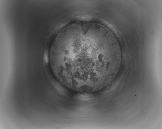 X0000112420069200908141419