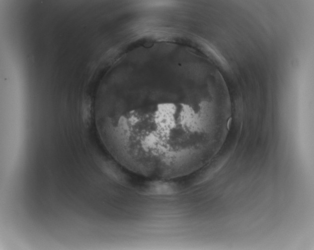 X0000112420073200908141419