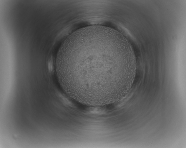 X0000112420074200908141419
