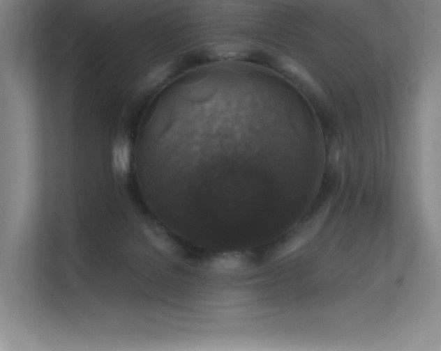 X0000112420076200908141419