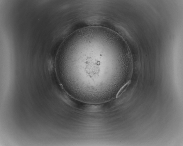 X0000112420081200908141419