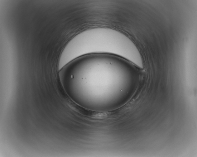 X0000112420084200908141419