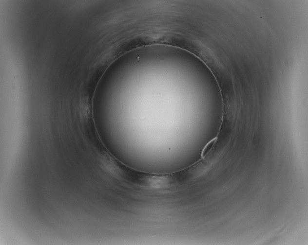 X0000112420085200908141419