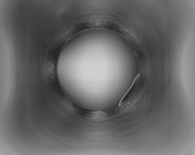 X0000112420087200908141419