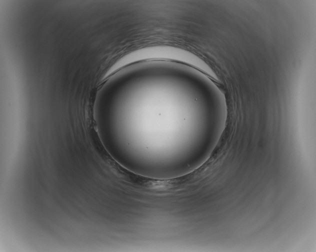X0000112420088200908141419