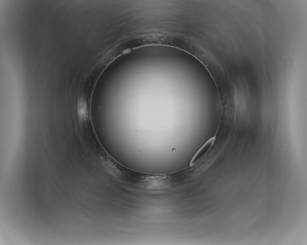 X0000112420089200908141419