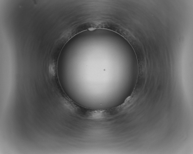 X0000112420090200908141419