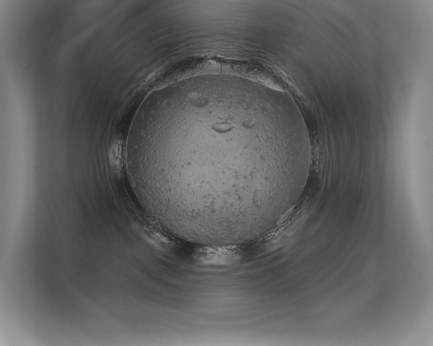 X0000112420093200908141419