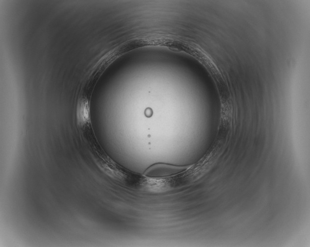 X0000112420095200908141419