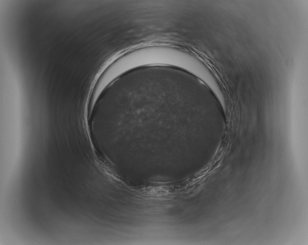 X0000112420100200908141419