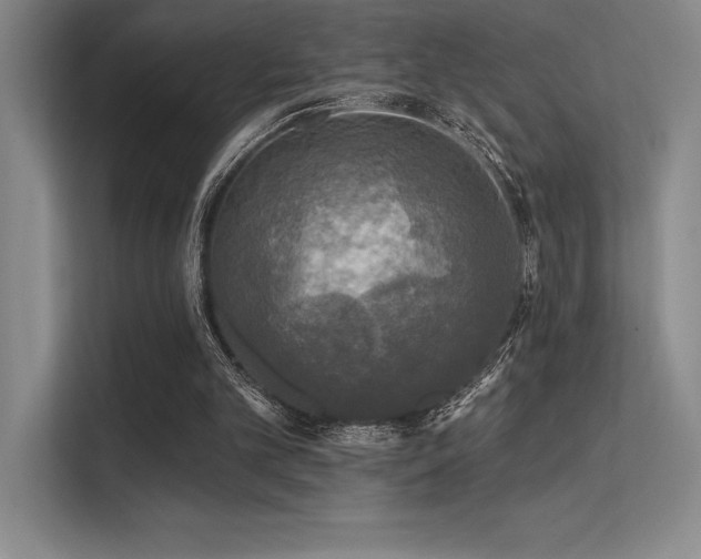 X0000112420101200908141419