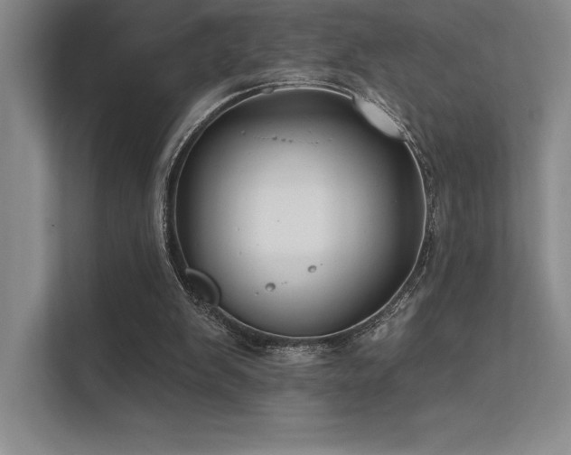 X0000112420103200908141419