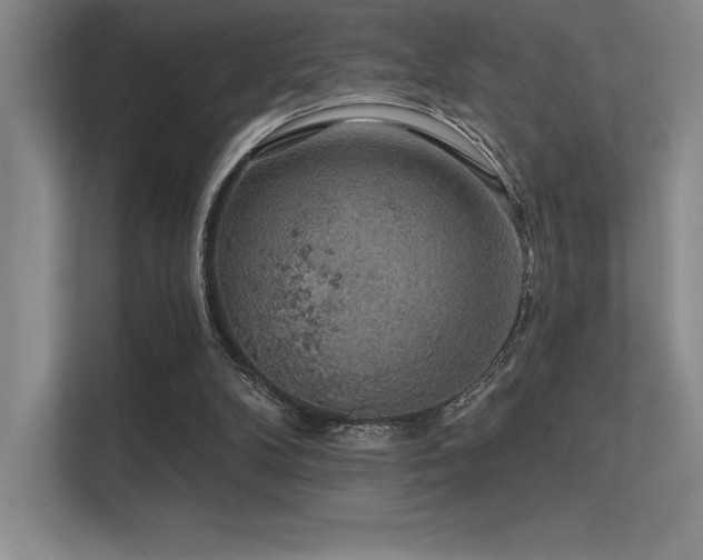 X0000112420104200908141419