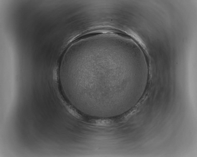 X0000112420105200908141419