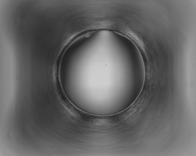 X0000112420107200908141419