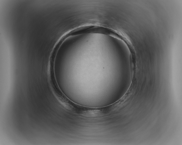 X0000112420108200908141419