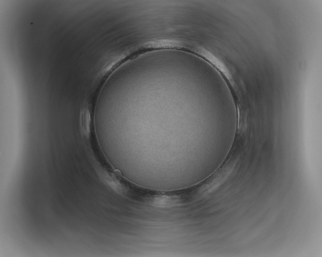 X0000112420109200908141419