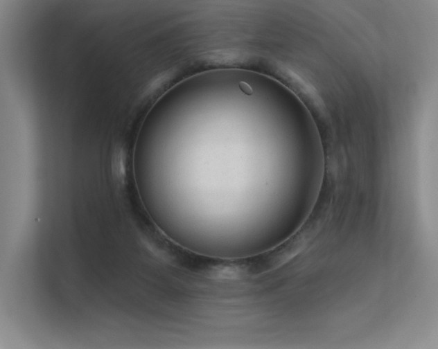 X0000112420115200908141419