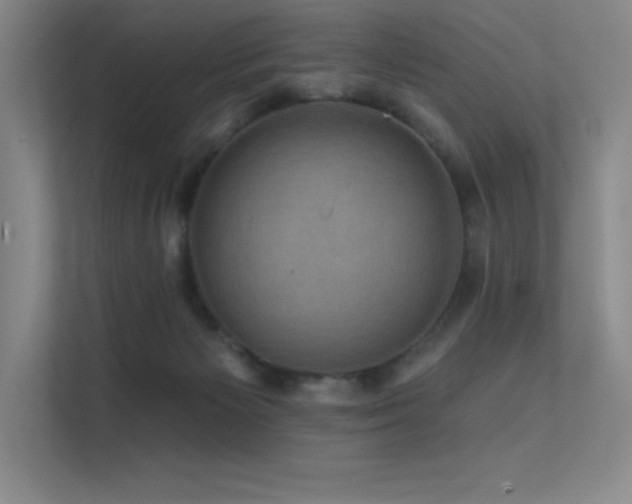 X0000112420125200908141418