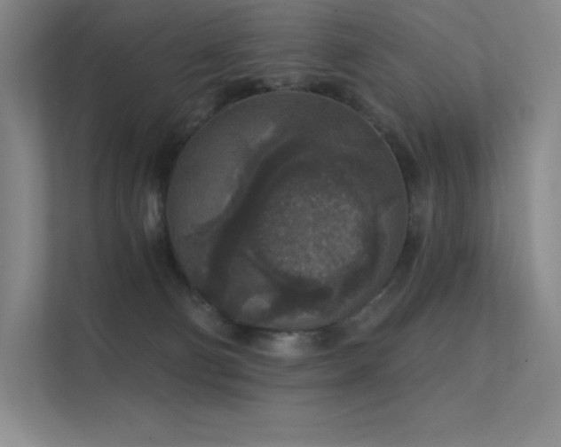 X0000112420130200908141418