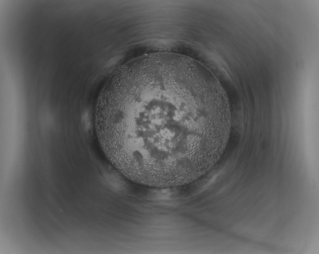 X0000112420131200908141418