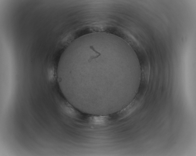 X0000112420134200908141418