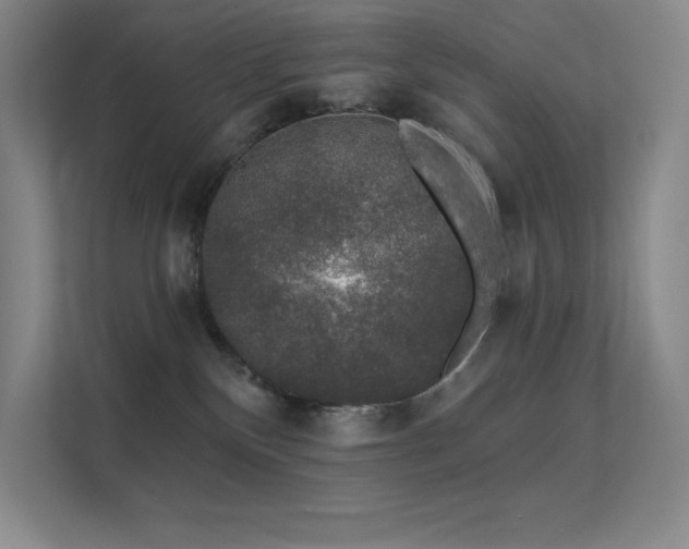 X0000112420136200908141418