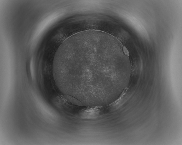 X0000112420140200908141418