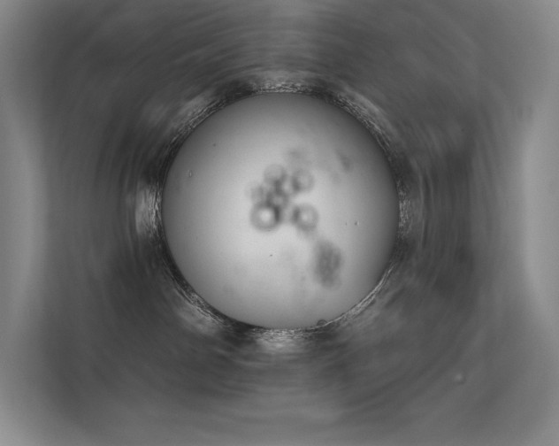 X0000112420142200908141418