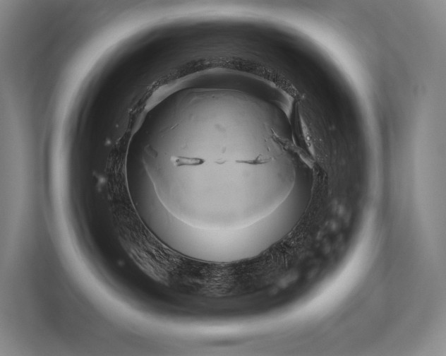 X0000112420143200908141418