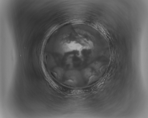 X0000112420145200908141418