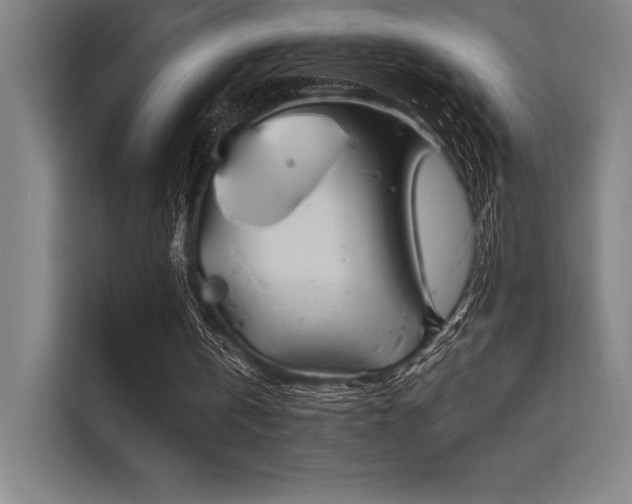 X0000112420146200908141418