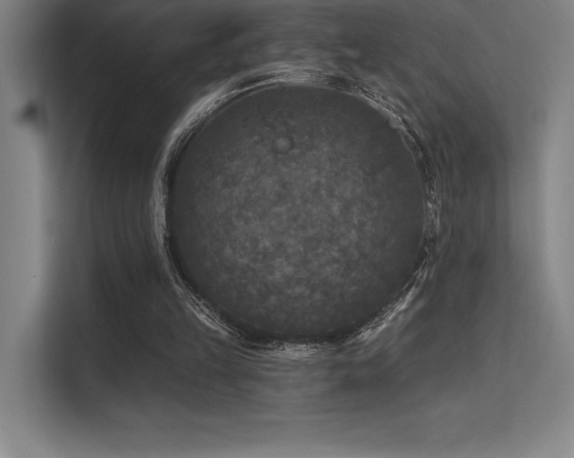X0000112420149200908141418
