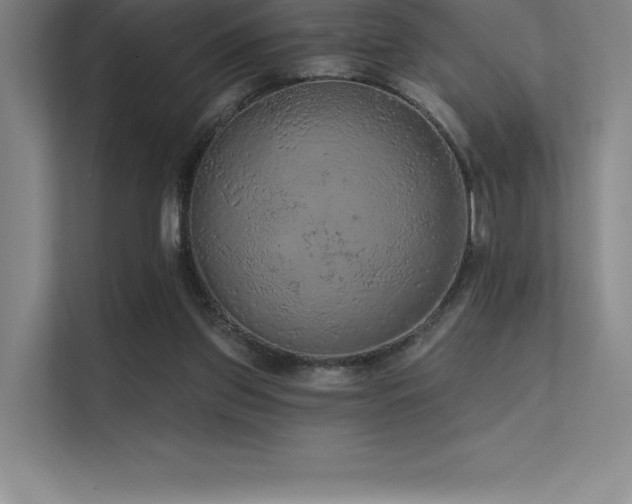 X0000112420157200908141418