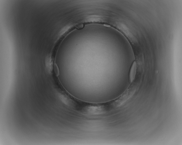 X0000112420160200908141418