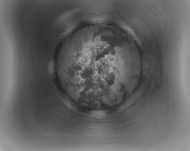 X0000112420161200908141418