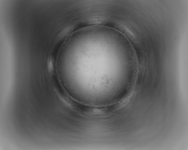 X0000112420166200908141418