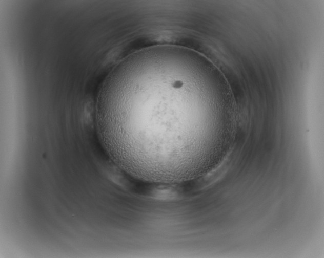 X0000112420175200908141418