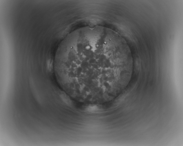 X0000112420177200908141418