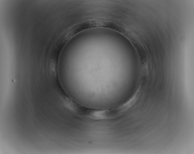 X0000112420178200908141418