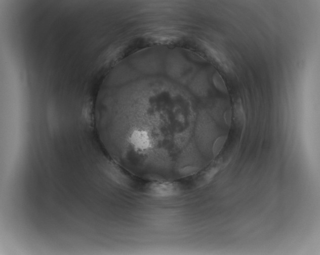 X0000112420181200908141418