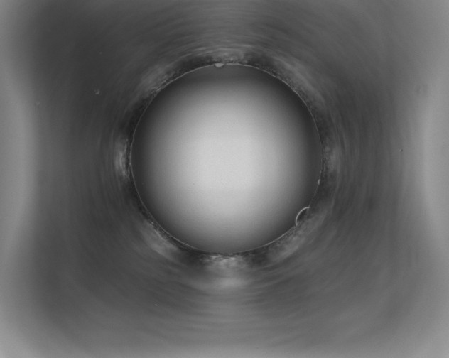 X0000112420185200908141418