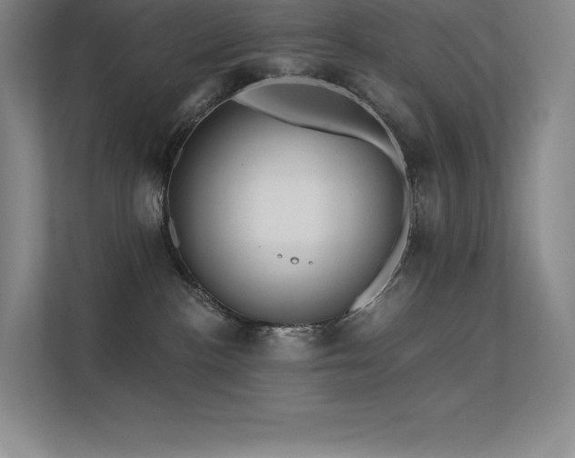 X0000112420188200908141418