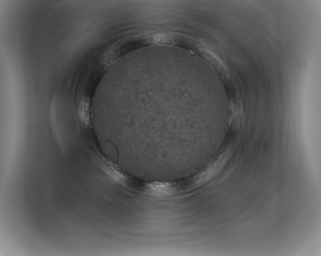 X0000112420189200908141418