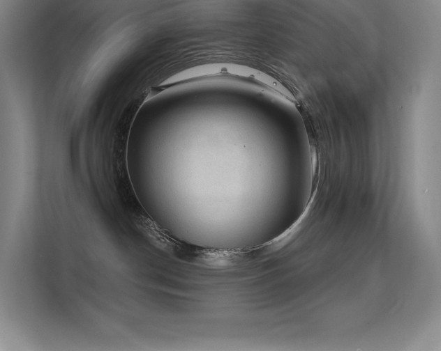 X0000112420190200908141418