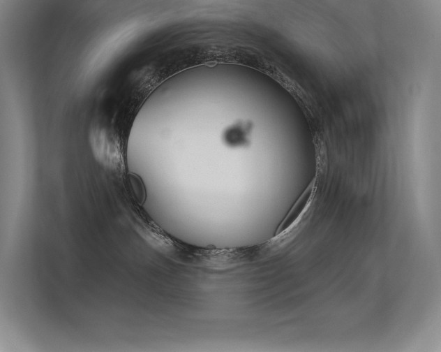 X0000112420191200908141418